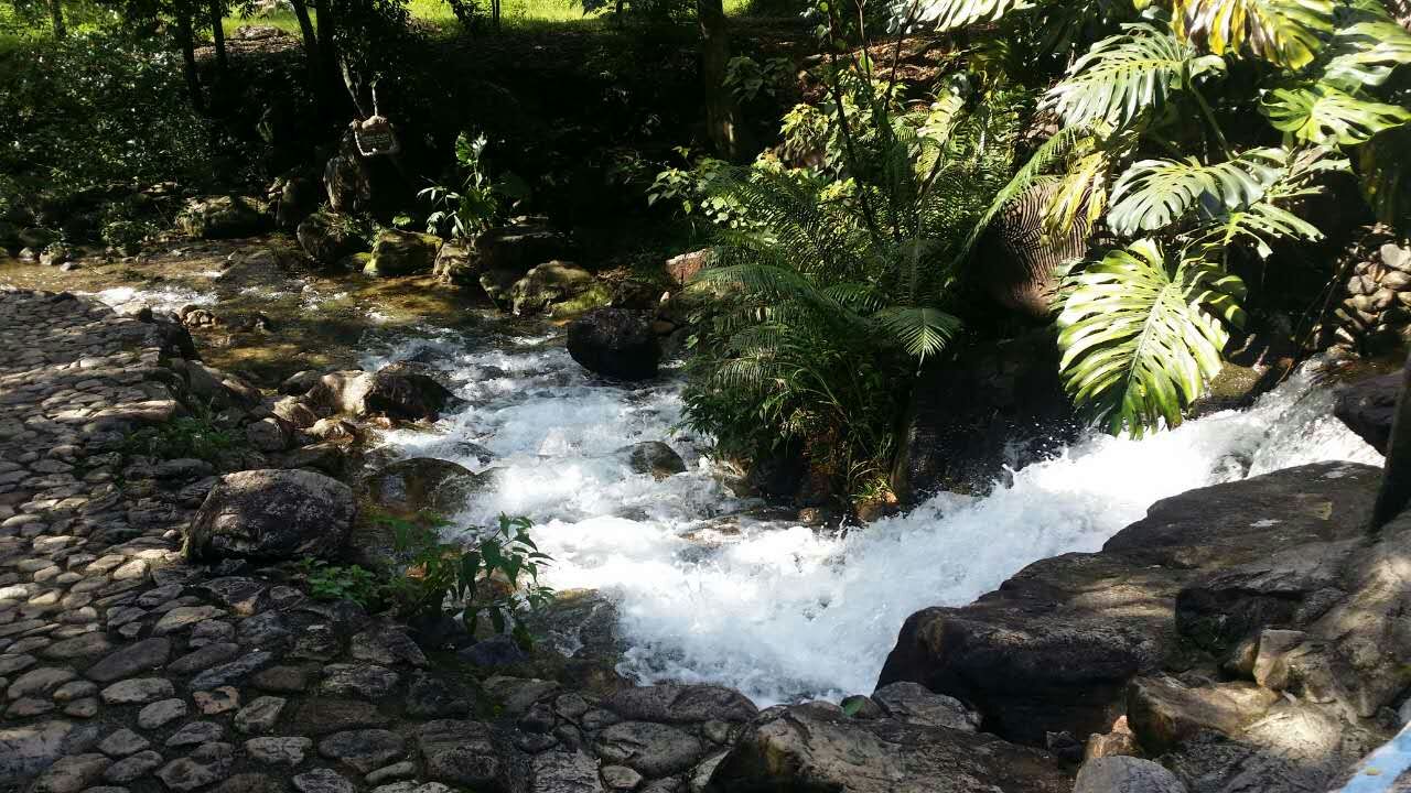 立冬至,天气严寒,常炖牛肉给家人吃,身体结实,贵点也别省_英亚官方网站(图4) 英亚官方网站