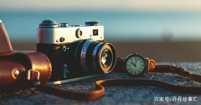 蓝莓土豆泥的做法_蓝莓土豆泥怎么做_紫韵千千的菜谱|英亚官网(图1) 英亚官网